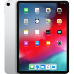 iPad Pro 12,9 - Wifi - 256...